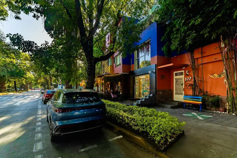 Collection O Casa Anzures Thematic, Mexico City hotel hero