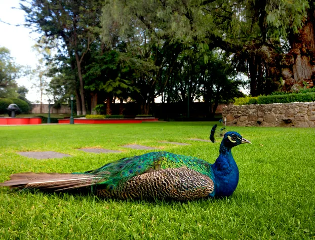Hotel Misión San Gil hotel detail image 4
