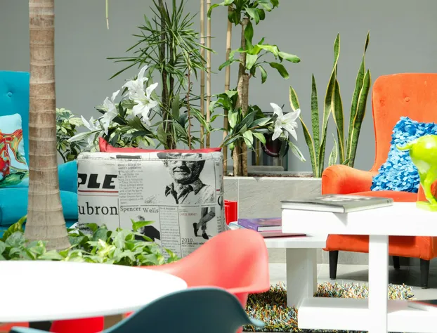 Maison Bamboo Hotel Boutique hotel detail image 4