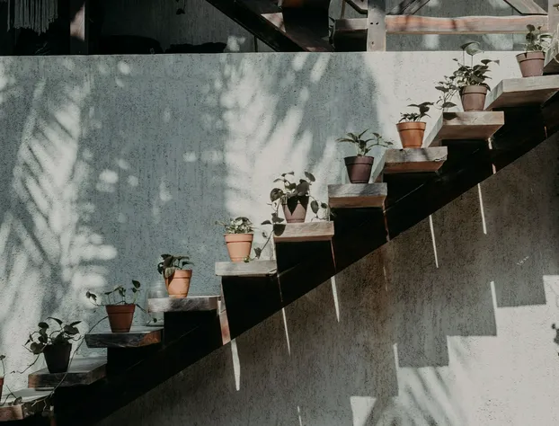 Hotelito Azul hotel detail image 3