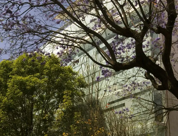 Habita, Mexico City, a Member of Design Hotels hotel detail image 3