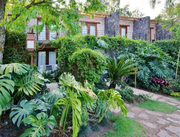 Hotel Amomoxtli hotel detail image 2