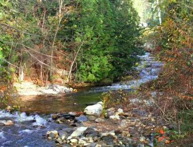 Inn at Neshobe River hotel detail image 3