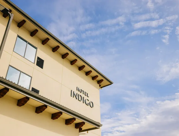 Hotel Indigo Spring - Woodlands Area by IHG hotel detail image 4