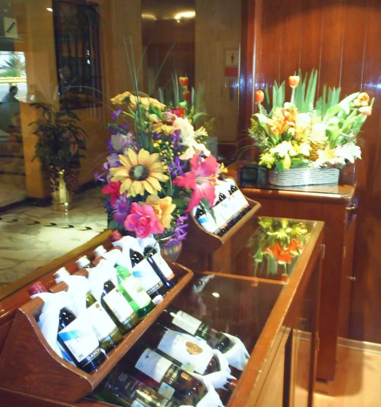 Segovia Regency Hotel hotel hero