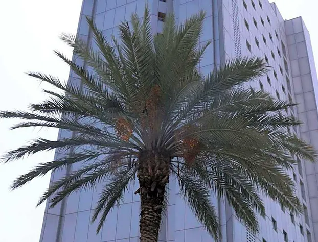 Novotel Monterrey Valle hotel detail image 2