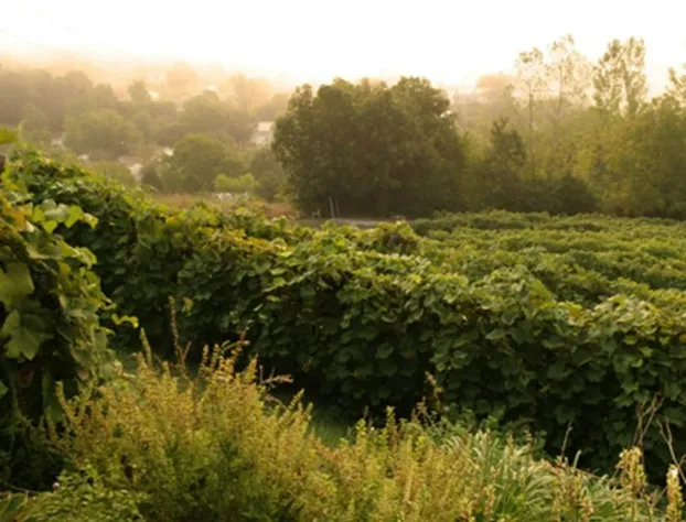 Hermann Hill hotel detail image 4