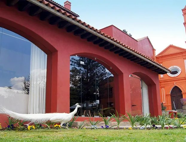 Hacienda San Martín hotel detail image 3