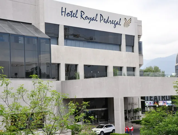 Royal Pedregal Hotel hotel detail image 1