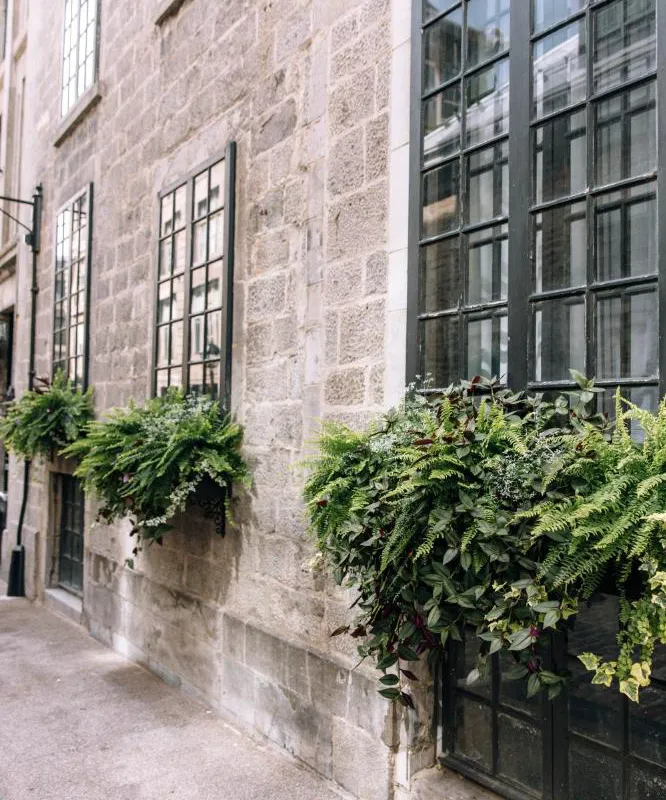 Maison Sainte-Thérèse hotel hero