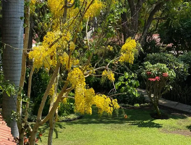 Hotel Quinta Las Flores hotel detail image 1
