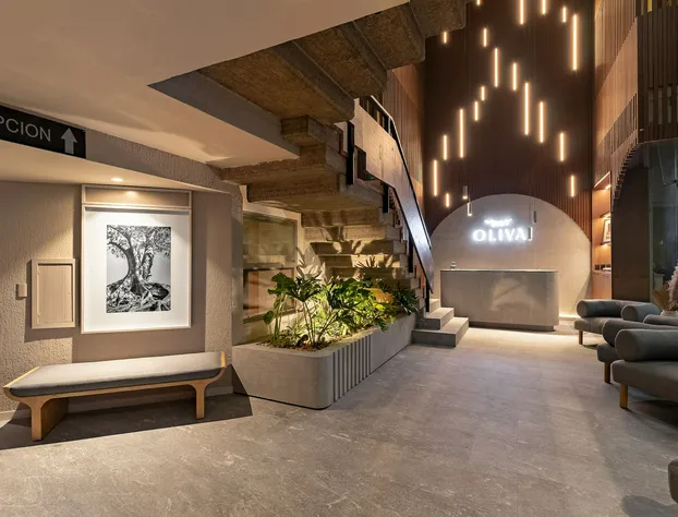 Oliva Plaza Hotel hotel detail image 2