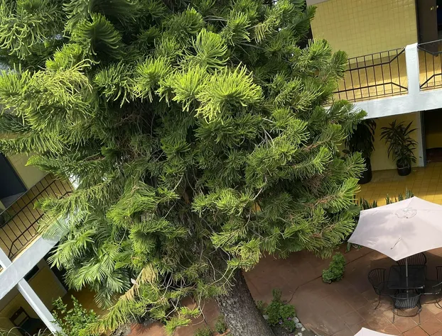 Hotel Allende Morelia hotel detail image 1