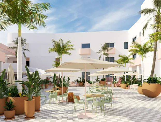 Perla La Paz, Tapestry Collection by Hilton hotel detail image 1