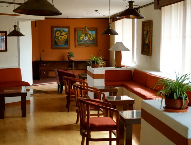 Hotel & Suites Villa del Sol hotel detail image 1