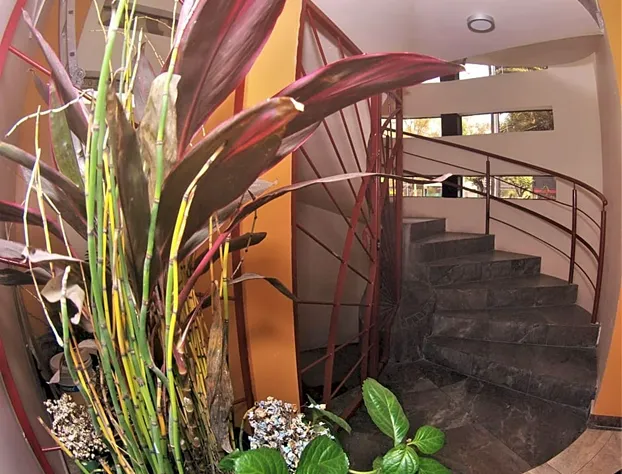 Hotel Jard Inn Adults only hotel detail image 2