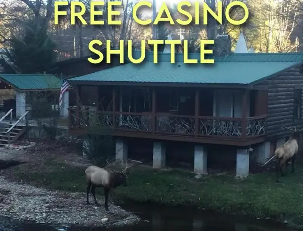 Qualla Cabins and Motel Cherokee near Casino hotel detail image 1