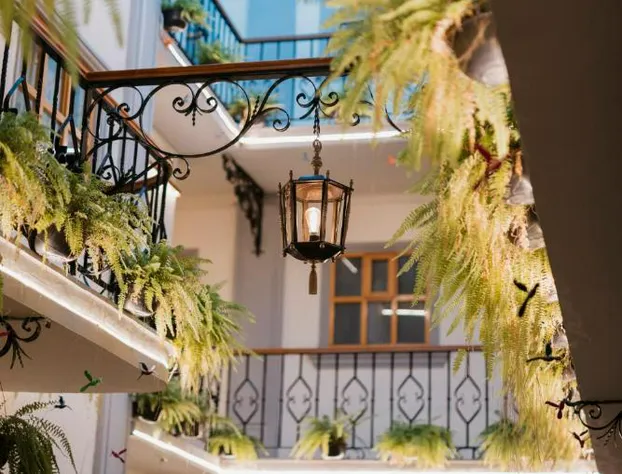 Hotel Marques del Valle hotel detail image 3