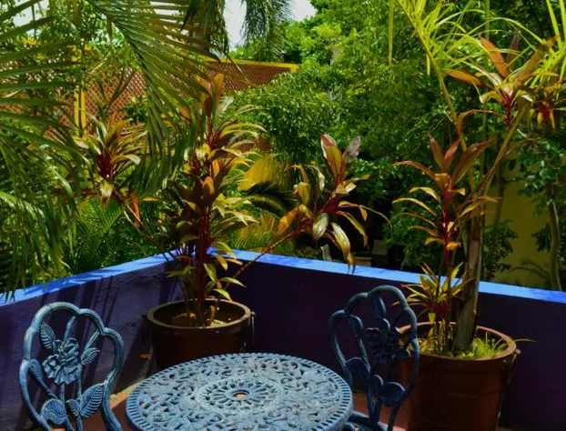 Hotel Marionetas hotel detail image 4