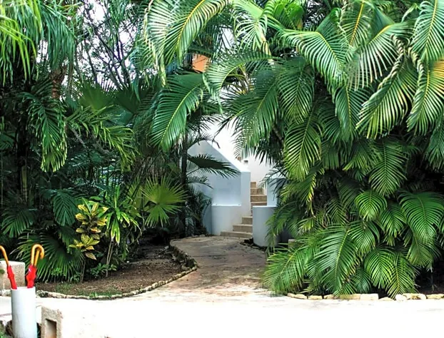 Hotel Esencia hotel detail image 1