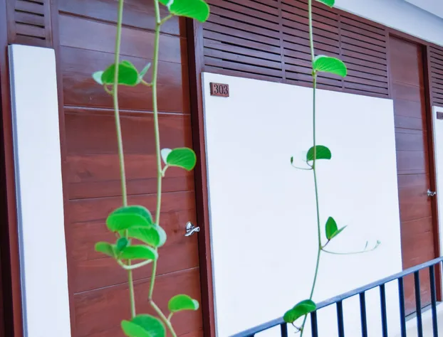 Zendero Tulum hotel detail image 2