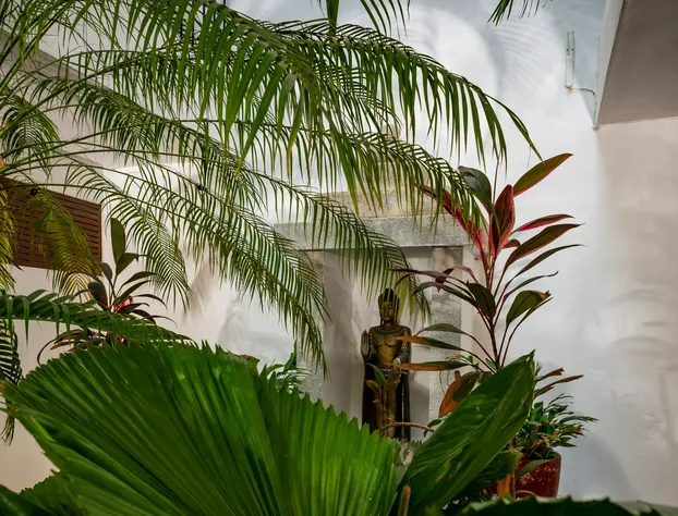 Zendero Tulum hotel detail image 4