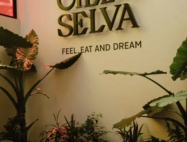 Hotel Cielo y Selva, San Cristobal de las Casas hotel detail image 4