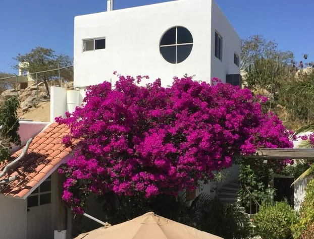 Los Milagros Hotel hotel detail image 1