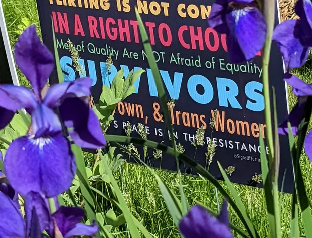 The One Cat B&B hotel detail image 1