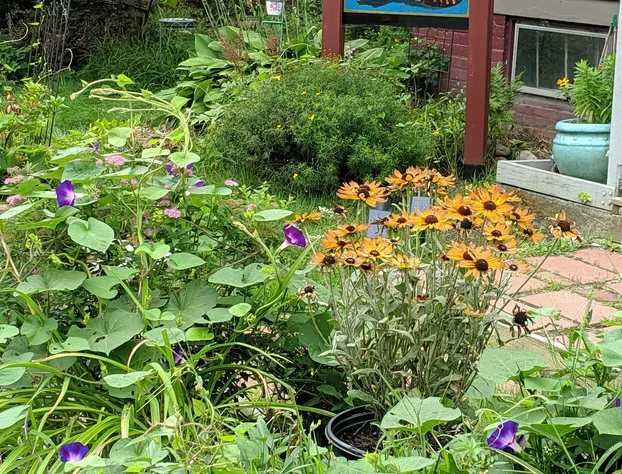 The One Cat B&B hotel detail image 2