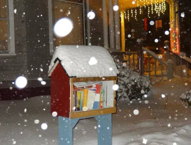 The One Cat B&B hotel detail image 4