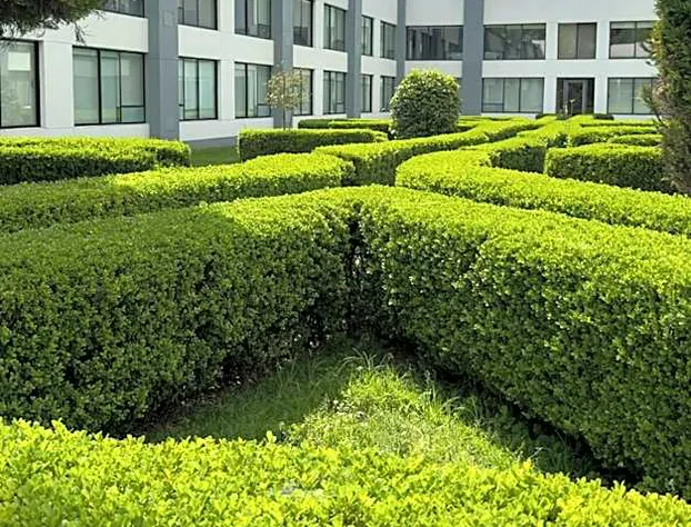 Courtyard by Marriott Toluca Airport hotel detail image 3