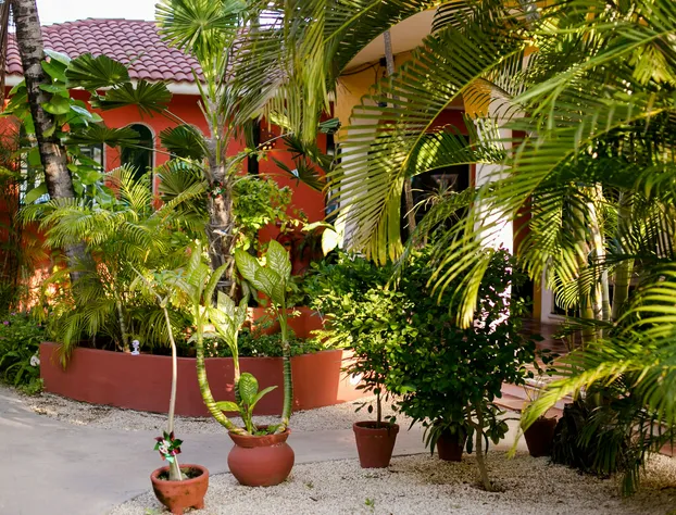 El Acuario Hotel hotel detail image 1