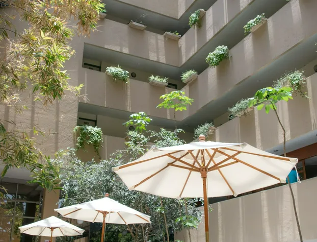 Hotel San Francisco Toluca hotel detail image 1