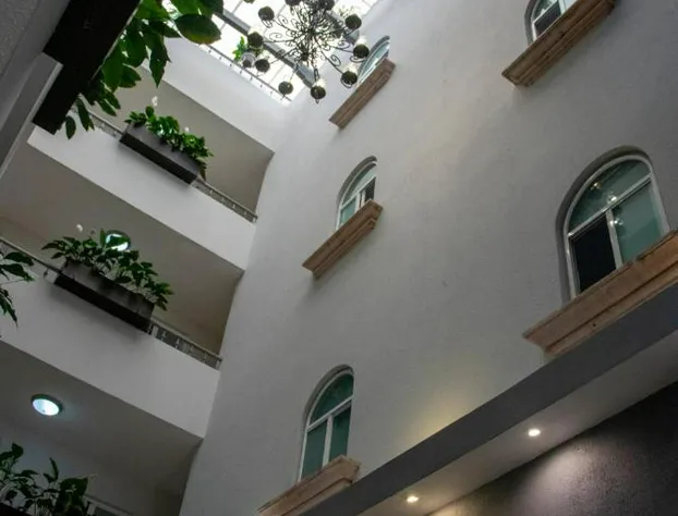 Hotel Qualitel Plus hotel detail image 2