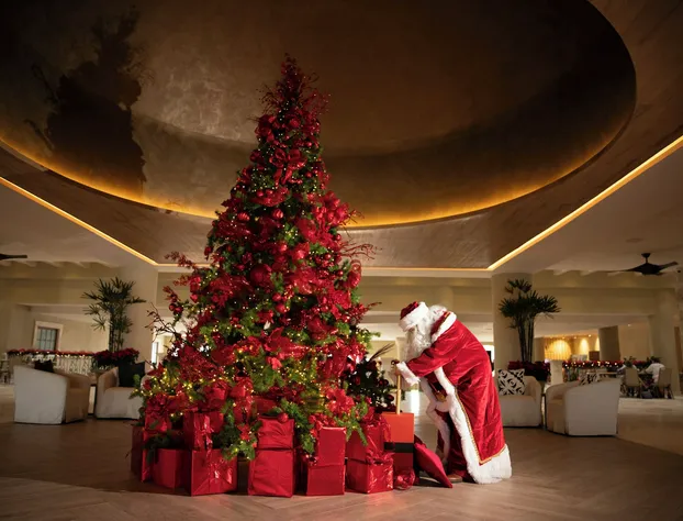 Hyatt Zilara Riviera Maya Adults Only All Inclusive hotel detail image 3