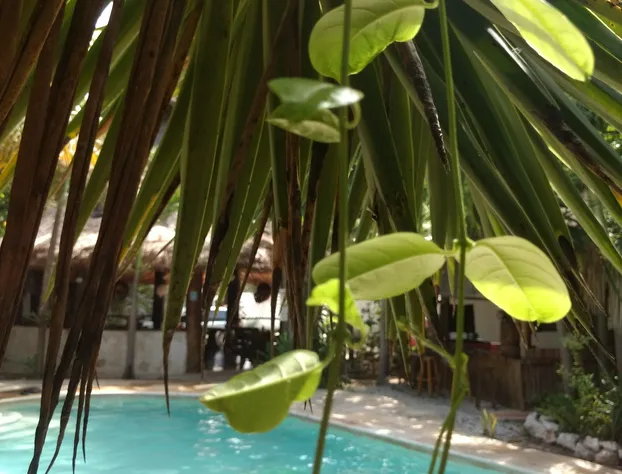 Green Tulum hotel detail image 4