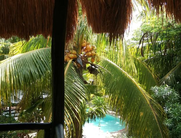 Green Tulum Cabañas & Gardens hotel detail image 2