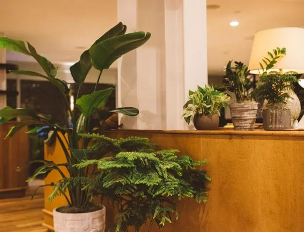 Emeline hotel detail image 4