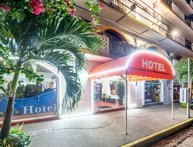 Hotel Hacienda de Vallarta Centro hotel detail image 3