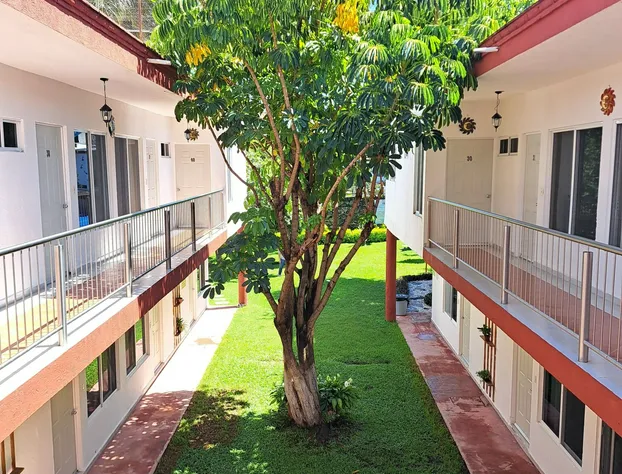 Hotel Quinta Paraiso hotel detail image 3