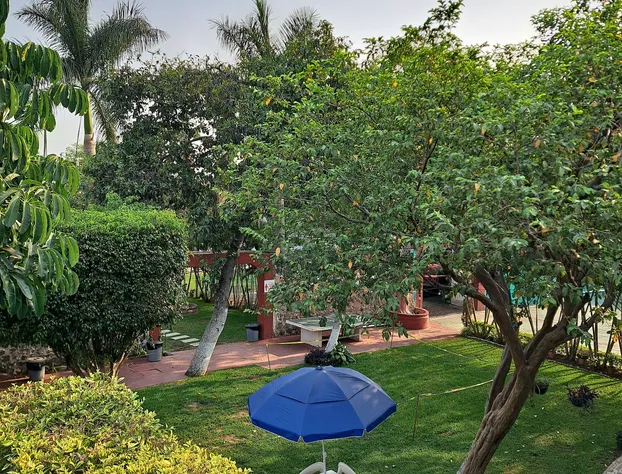 Hotel Quinta Paraiso hotel detail image 4