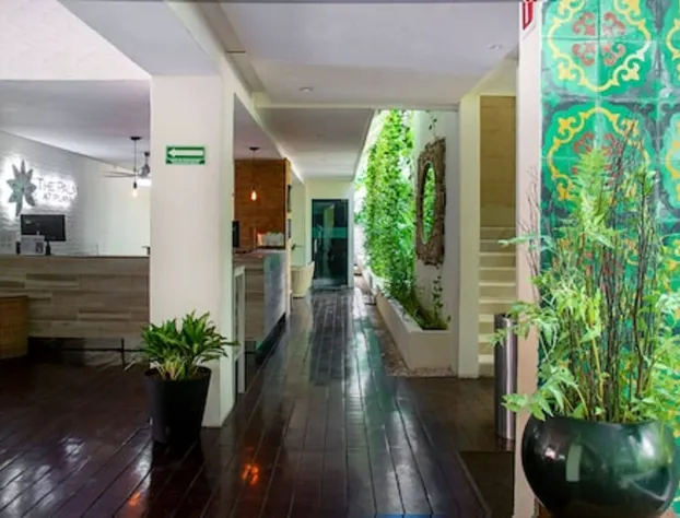 The Palm at Playa hotel detail image 2