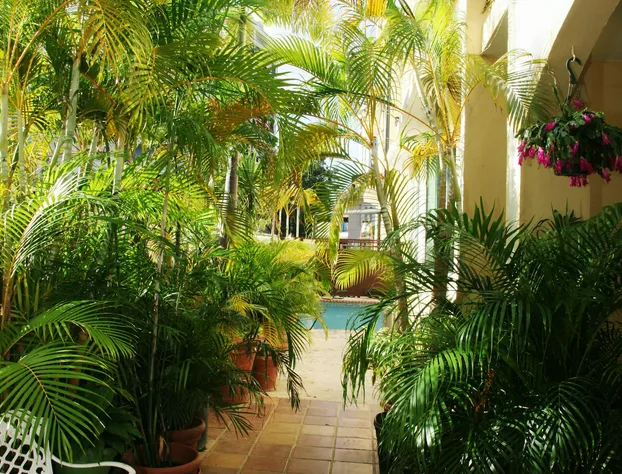 Coral Princess Hotel hotel detail image 2