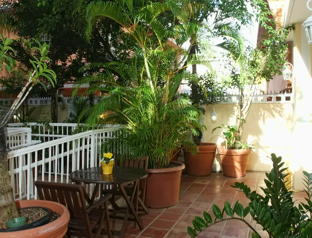 Coral Princess Hotel hotel detail image 3