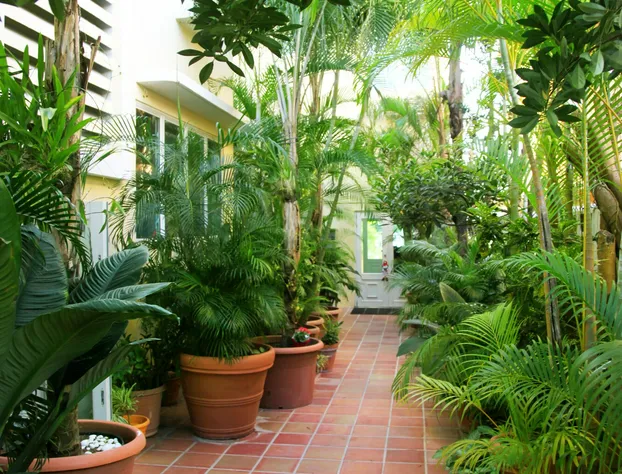 Coral Princess Hotel hotel detail image 1