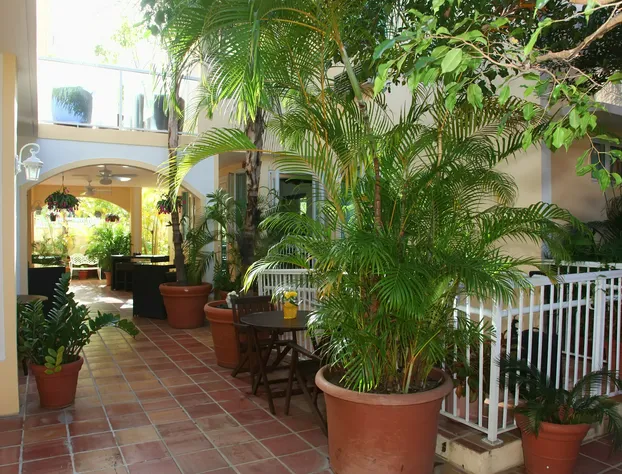 Coral Princess Hotel hotel detail image 4