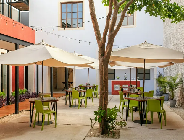 Casona 61 Boutique Hotel hotel detail image 4