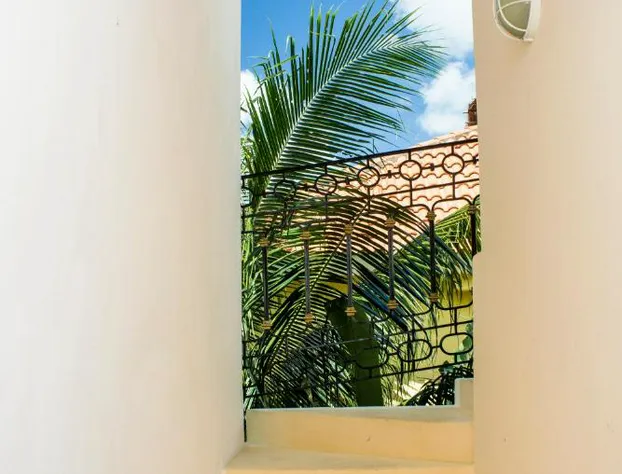 Hotel Sol Playa hotel detail image 3