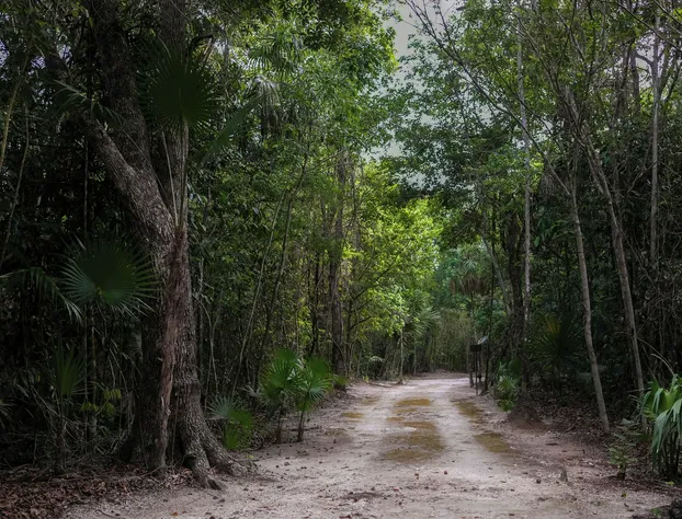 Jolie Jungle Eco Hotel hotel detail image 3
